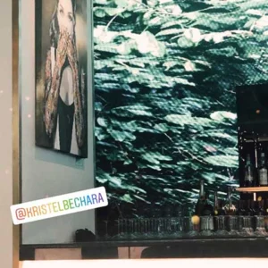 Ask a Woman 65 In this "Vixen" painting of the ask a woman art collection, Kristel Bechara delves into women psyche. Worldwide delivery available!